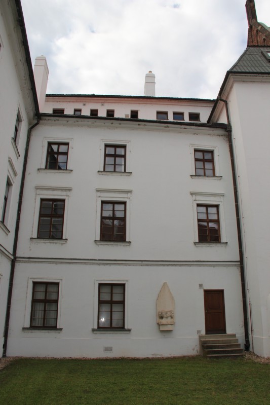 IMG_4353.JPG