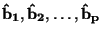 $\bf\hat{b}_1,\hat{b}_2,\ldots
,\hat{b}_p$