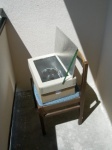 Cardboard box cooker 2